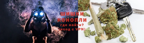 гидра Каменка