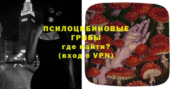 твердый Каменногорск
