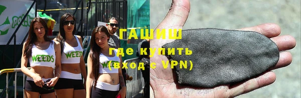 гидра Каменка