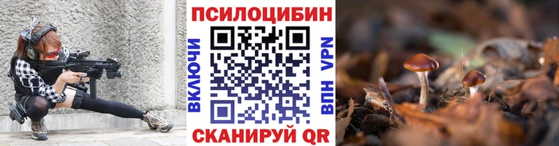 Купить закладки  Жиздра  Галлюциногенные грибы Cubensis 