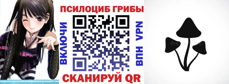 Псилоцибиновые грибы Magic Shrooms Жиздра